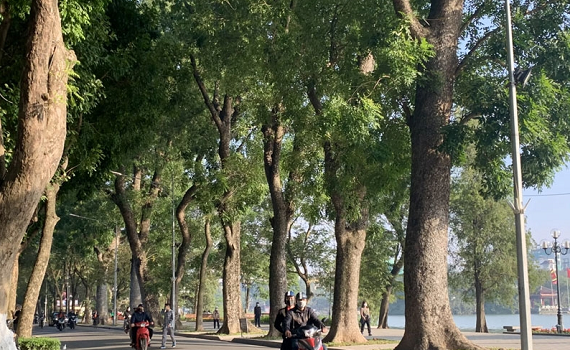 Tin thời tiết ng&agrave;y 13-3: C&aacute;c tỉnh Bắc Bộ s&aacute;ng sớm c&oacute; sương m&ugrave;, trời hửng nắng