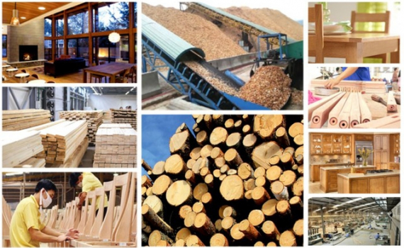 Đặt mục ti&ecirc;u xuất khẩu gỗ v&agrave; l&acirc;m sản đạt 20 tỷ USD v&agrave;o năm 2025