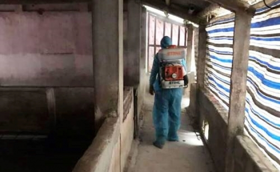 Triển khai th&aacute;ng tổng vệ sinh, khử tr&ugrave;ng, ti&ecirc;u độc m&ocirc;i trường từ ng&agrave;y 15/3