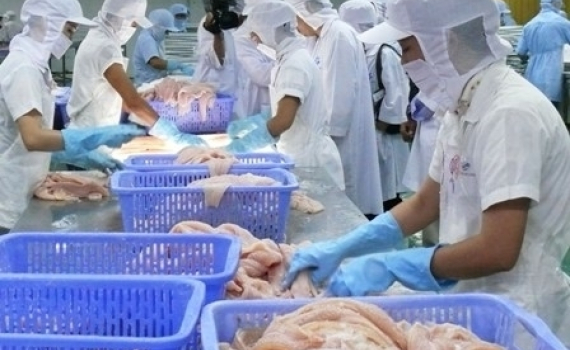 Ph&ograve;ng, chống COVID-19 trong sản xuất, xuất khẩu thủy sản v&agrave;o Trung Quốc