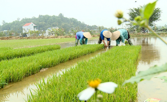 Lan tỏa hoạt động tương th&acirc;n, tương &aacute;i dịp 8/3