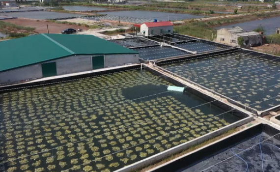Khơi dậy tiềm năng kinh tế biển sau 30 năm t&aacute;i lập tỉnh Ninh B&igrave;nh
