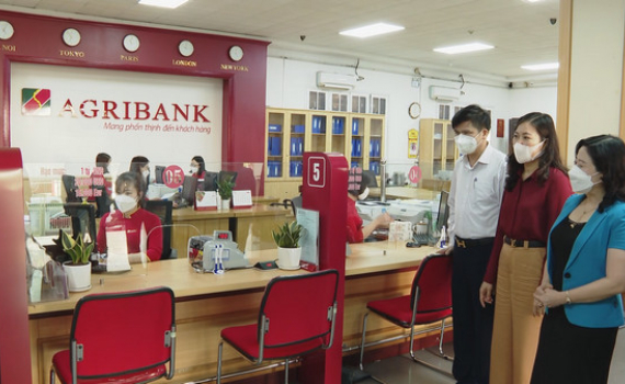 Agribank Ninh B&igrave;nh ra mắt m&ocirc; h&igrave;nh Quầy giao dịch kiểu mẫu