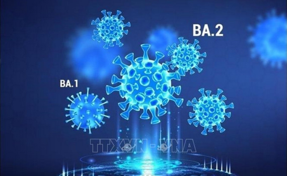 Nguy cơ biến thể phụ BA.2 của Omicron g&acirc;y l&agrave;n s&oacute;ng Covid-19 mới ở Mỹ
