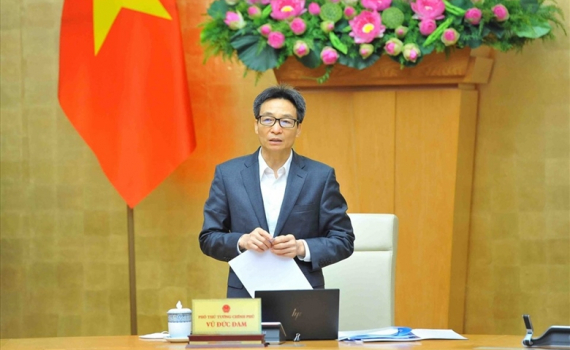 Triển khai c&aacute;c hoạt động ph&aacute;t huy sức s&aacute;ng tạo, sự cống hiến thanh ni&ecirc;n Việt Nam
