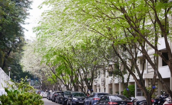 Thời tiết h&ocirc;m nay ng&agrave;y 5-3: Miền Bắc r&eacute;t về đ&ecirc;m v&agrave; s&aacute;ng, ng&agrave;y nắng ấm, Nam Bộ nắng gắt