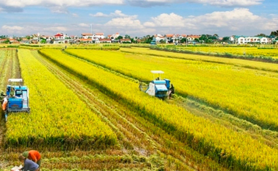 Lấy &yacute; kiến nh&acirc;n d&acirc;n về dự thảo Luật Đất đai (sửa đổi): Quy định chặt chẽ quyền, nghĩa vụ của hộ gia đ&igrave;nh, c&aacute; nh&acirc;n