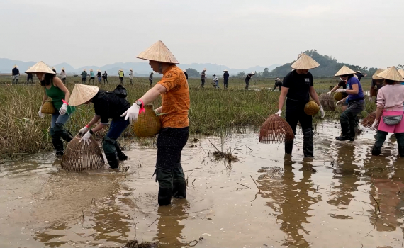 Du lịch n&ocirc;ng nghiệp n&iacute;u ch&acirc;n du kh&aacute;ch ở Ninh B&igrave;nh