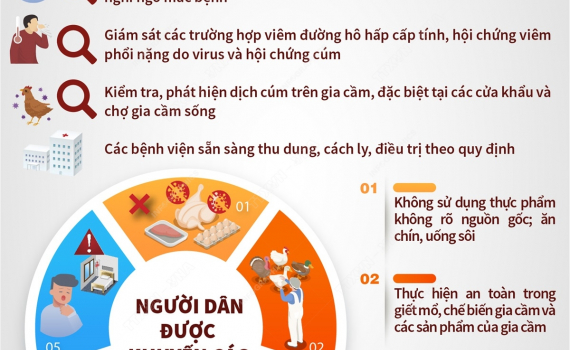 Bộ Y tế y&ecirc;u cầu tăng cường ph&ograve;ng, chống c&uacute;m gia cầm l&acirc;y sang người