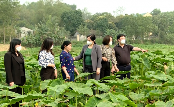 Hội Phụ nữ huyện Nho Quan gi&uacute;p nhau ph&aacute;t triển kinh tế