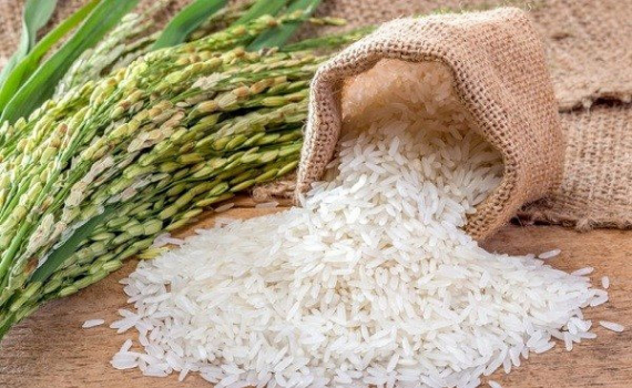 Gi&aacute; trị xuất khẩu gạo tăng hơn 30%