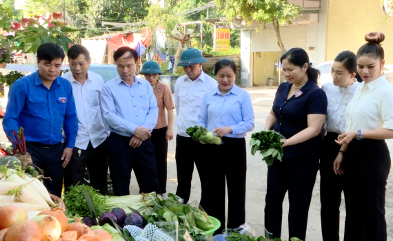 Nh&acirc;n rộng m&ocirc; h&igrave;nh &ldquo;N&ocirc;ng sản an to&agrave;n&rdquo; tại Nho Quan