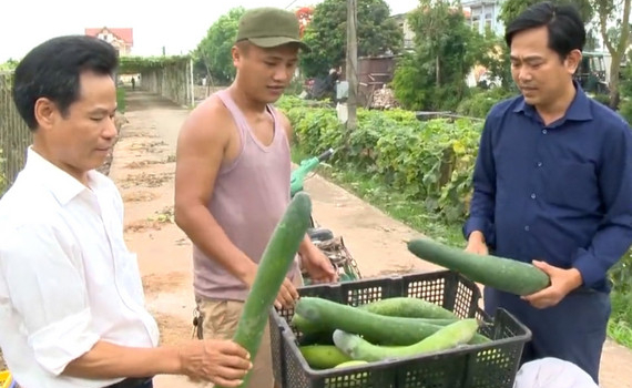 N&ocirc;ng d&acirc;n x&atilde; Kh&aacute;nh Th&agrave;nh học tập v&agrave; l&agrave;m theo lời B&aacute;c