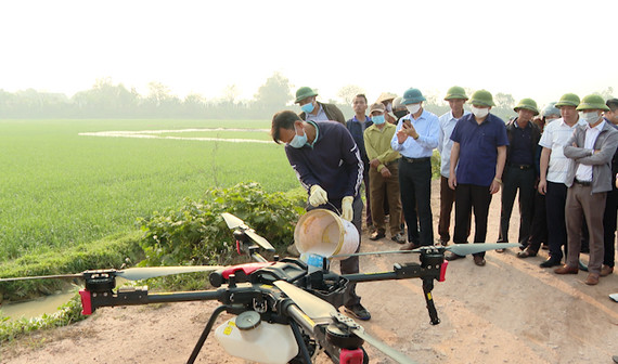 Nho Quan trình diễn công nghệ phun thuốc phòng trừ sâu bệnh trên cây lúa bằng máy bay không người lái tại xã Quỳnh Lưu