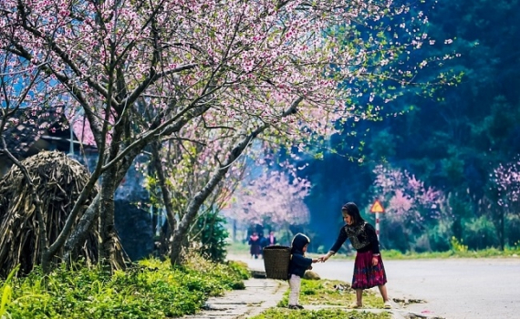 Thời tiết h&ocirc;m nay (3-3): Sau chuỗi ng&agrave;y r&eacute;t đậm, miền Bắc tăng nhiệt nhẹ, trời hửng nắng