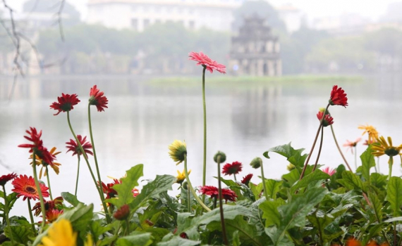 Thời tiết h&ocirc;m nay (17-3): Bắc Bộ c&oacute; sương m&ugrave;, mưa ph&ugrave;n