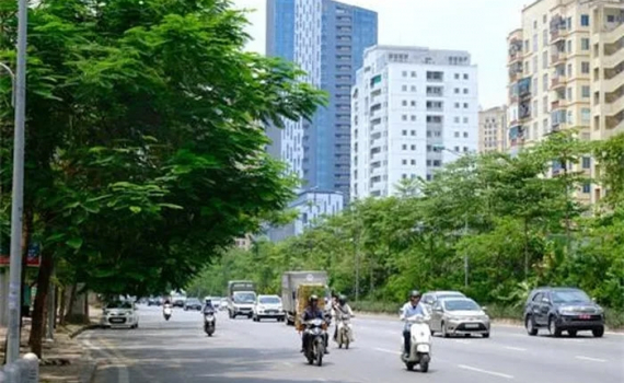 Thời tiết h&ocirc;m nay (12-3): Bắc Bộ r&eacute;t về đ&ecirc;m, ng&agrave;y nắng ấm