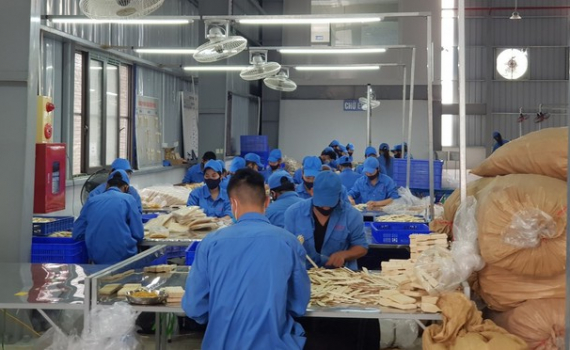 Xuất khẩu n&ocirc;ng l&acirc;m thủy sản tăng hơn 50%