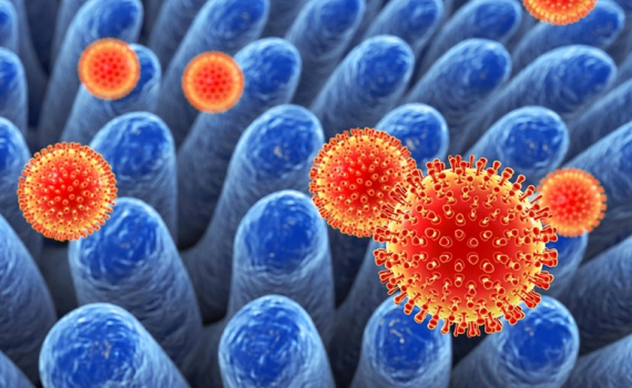Virus Rota nguy hiểm như thế n&agrave;o đối với trẻ nhỏ?