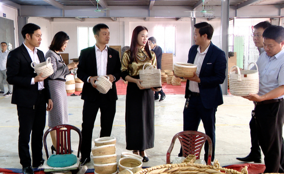 Hội Doanh nh&acirc;n trẻ tỉnh Ninh B&igrave;nh tham quan, trao đổi thực tế tại một số doanh nghiệp tr&ecirc;n địa b&agrave;n huyện Kim Sơn