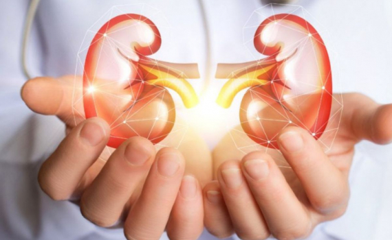 8 nguy&ecirc;n tắc v&agrave;ng cần l&agrave;m để bảo vệ thận