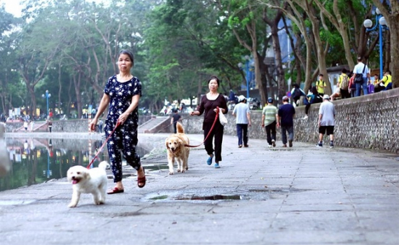 C&aacute;c địa phương tập trung thực hiện nghi&ecirc;m c&ocirc;ng t&aacute;c ph&ograve;ng, chống bệnh dại