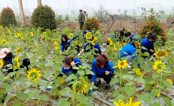 Tuổi trẻ th&agrave;nh phố Ninh B&igrave;nh chung tay bảo vệ m&ocirc;i trường
