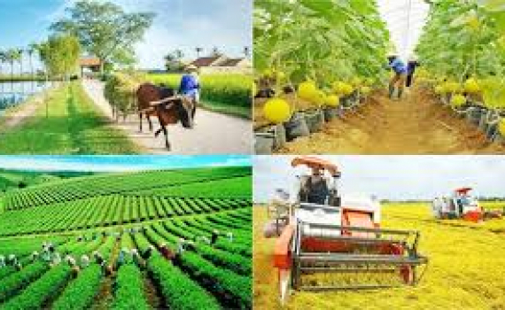 Th&aacute;o gỡ kh&oacute; khăn c&aacute;c chương tr&igrave;nh mục ti&ecirc;u quốc gia