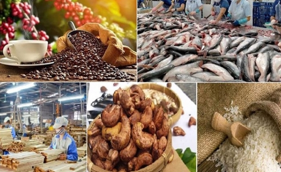 Cấp b&aacute;ch x&acirc;y dựng thương hiệu n&ocirc;ng sản Việt