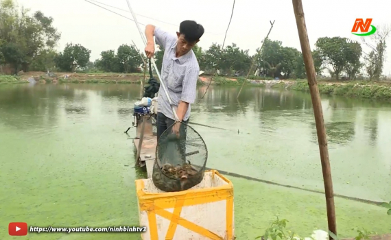 Kh&aacute;nh Thủy x&acirc;y dựng m&ocirc; h&igrave;nh kinh tế hiệu quả