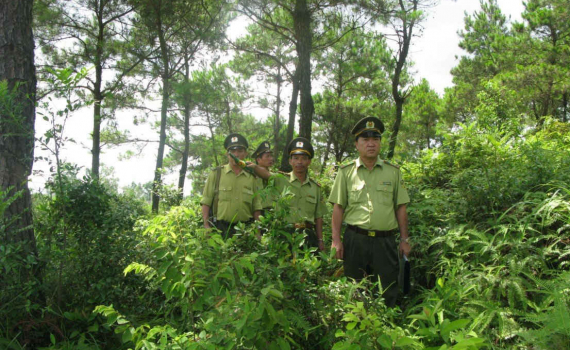 Tăng cường sự l&atilde;nh đạo của Đảng đối với c&ocirc;ng t&aacute;c quản l&yacute;, bảo vệ v&agrave; ph&aacute;t triển rừng