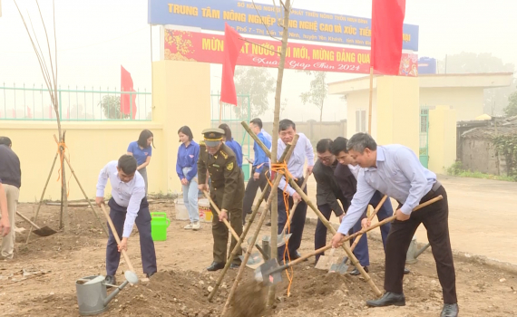 Sở NN&PTNT ph&aacute;t động Tết trồng c&acirc;y xu&acirc;n Gi&aacute;p Th&igrave;n