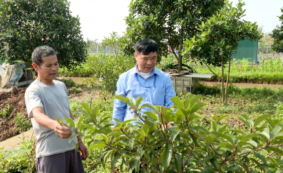 Y&ecirc;n Kh&aacute;nh n&acirc;ng cao gi&aacute; trị thu nhập tr&ecirc;n ha canh t&aacute;c