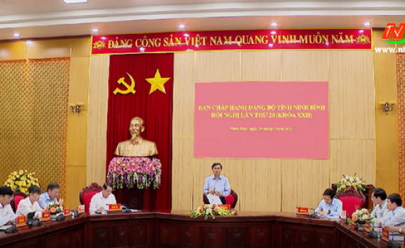 Hội nghị lần thứ 20 Ban Chấp h&agrave;nh Đảng bộ tỉnh Ninh B&igrave;nh (kh&oacute;a XXII)