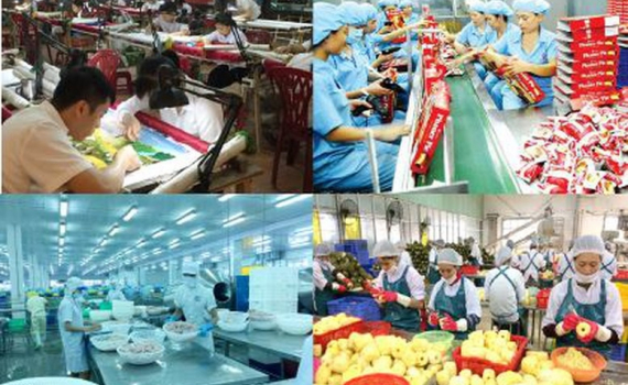 Th&agrave;nh lập Ban Chỉ đạo x&acirc;y dựng Đề &aacute;n Ph&aacute;t triển kinh tế tư nh&acirc;n