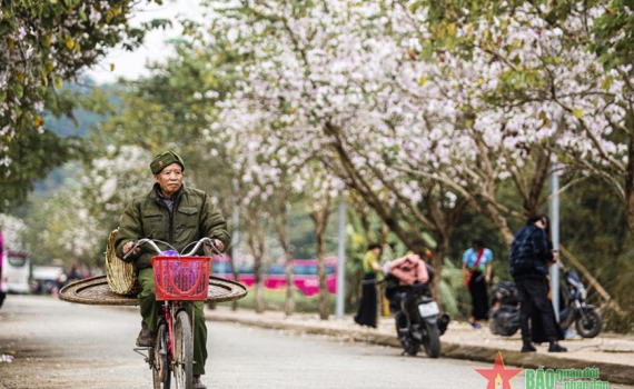 Thời tiết h&ocirc;m nay (25-3): Miền Bắc nắng n&oacute;ng trước khi chuyển lạnh, cao nhất 32 độ C