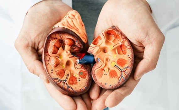 Tổn thương thận cấp c&oacute; cơ hội phục hồi cao nếu ph&aacute;t hiện sớm
