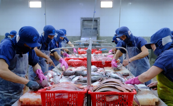 Doanh nghiệp ng&agrave;nh thực phẩm lo ngại g&aacute;nh nặng thủ tục h&agrave;nh ch&iacute;nh