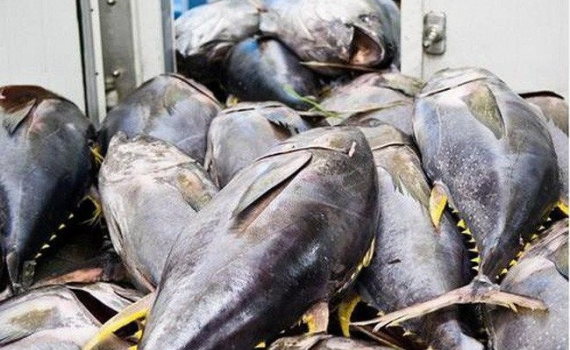Xuất khẩu thủy sản sang Hoa Kỳ đối mặt th&aacute;ch thức mới