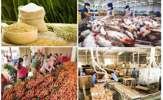 Đảm bảo nền tảng vững chắc cho xuất khẩu n&ocirc;ng, l&acirc;m, thủy sản