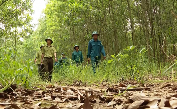Ninh B&igrave;nh tăng cường c&ocirc;ng t&aacute;c ph&ograve;ng, chống ch&aacute;y rừng