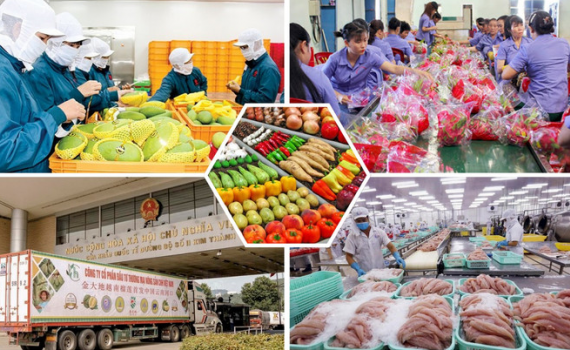 2 th&aacute;ng năm 2025, tổng kim ngạch xuất khẩu n&ocirc;ng, l&acirc;m, thủy sản đạt 9,38 tỷ USD