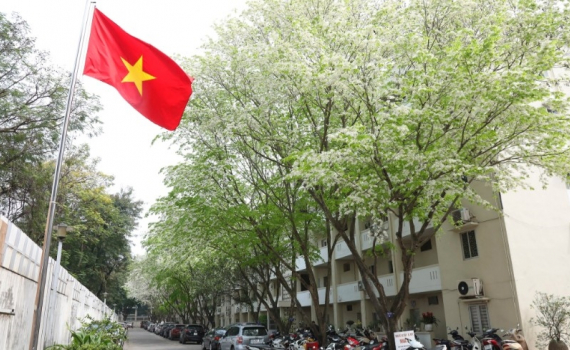 Thời tiết h&ocirc;m nay (11-3): Miền Bắc r&eacute;t về đ&ecirc;m v&agrave; s&aacute;ng, miền Trung mưa giảm