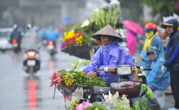 Thời tiết h&ocirc;m nay (15-3): Miền Bắc c&oacute; mưa nhỏ, Nam Bộ ng&agrave;y nắng