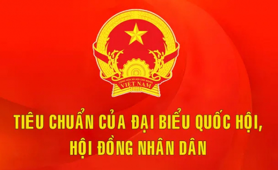 C&aacute;c ti&ecirc;u chuẩn của đại biểu Quốc hội, Hội đồng nh&acirc;n d&acirc;n
