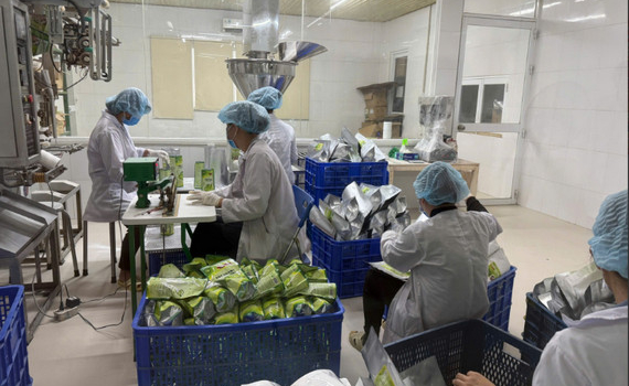 Xuất khẩu n&ocirc;ng l&acirc;m thủy sản: Nhiều ng&agrave;nh h&agrave;ng tăng tốc, mở rộng thị phần