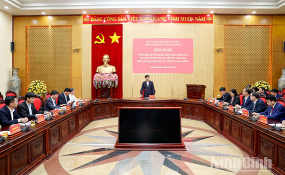 C&ocirc;ng bố Quyết định kiểm tra, gi&aacute;m s&aacute;t của Bộ Ch&iacute;nh trị, Ban B&iacute; thư đối với Ban Thường vụ Tỉnh ủy Ninh B&igrave;nh