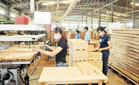 Kiến nghị gia hạn nộp thuế, tiền thu&ecirc; đất cho DN chế biến gỗ v&agrave; l&acirc;m sản
