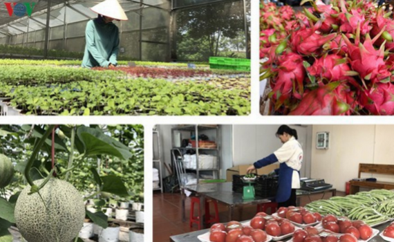 &ldquo;Lối tho&aacute;t&rdquo; cho n&ocirc;ng sản Việt giữa dịch vẫn l&agrave; b&agrave;i to&aacute;n kh&oacute;
