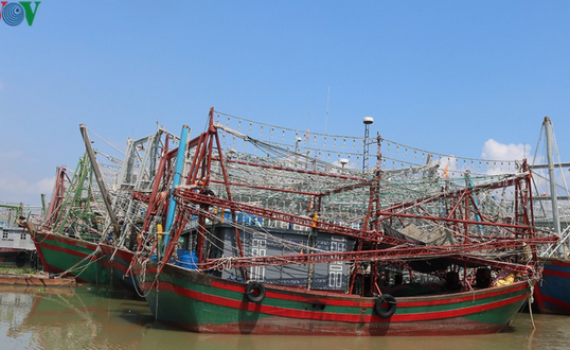 Tắc đầu ra ng&agrave;nh thủy sản do &ldquo;b&atilde;o&rdquo; dịch, ngư d&acirc;n lao đao